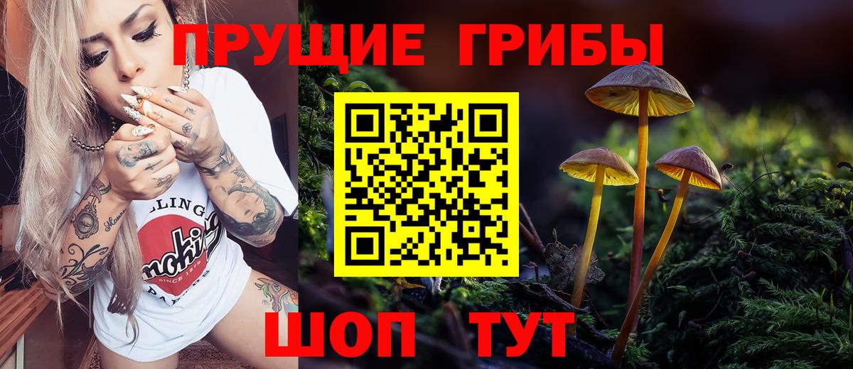 Галлюциногенные грибы прущие грибы  Вход с VPN  Клинцы  Псилоцибиновые грибы Psilocybe 