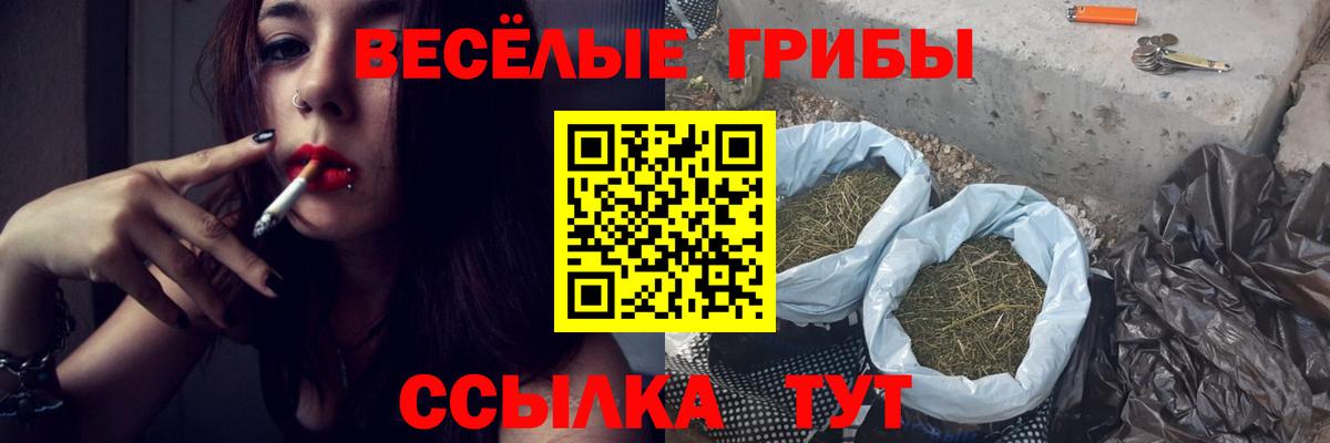 Галлюциногенные грибы прущие грибы Клинцы